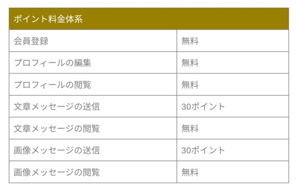 リアラブ使用項目