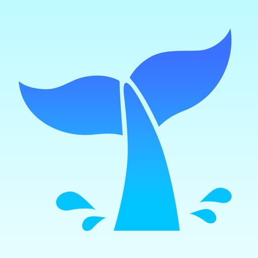 ビデオ通話で秘密の冒険 - ホエール